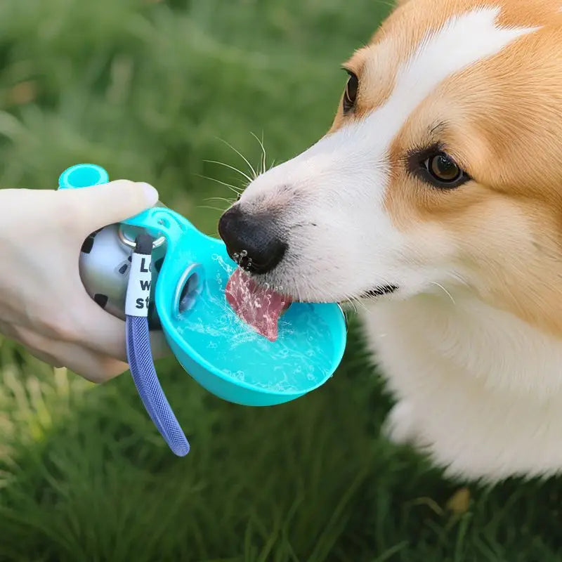 Travel Pet Hydration Bottle